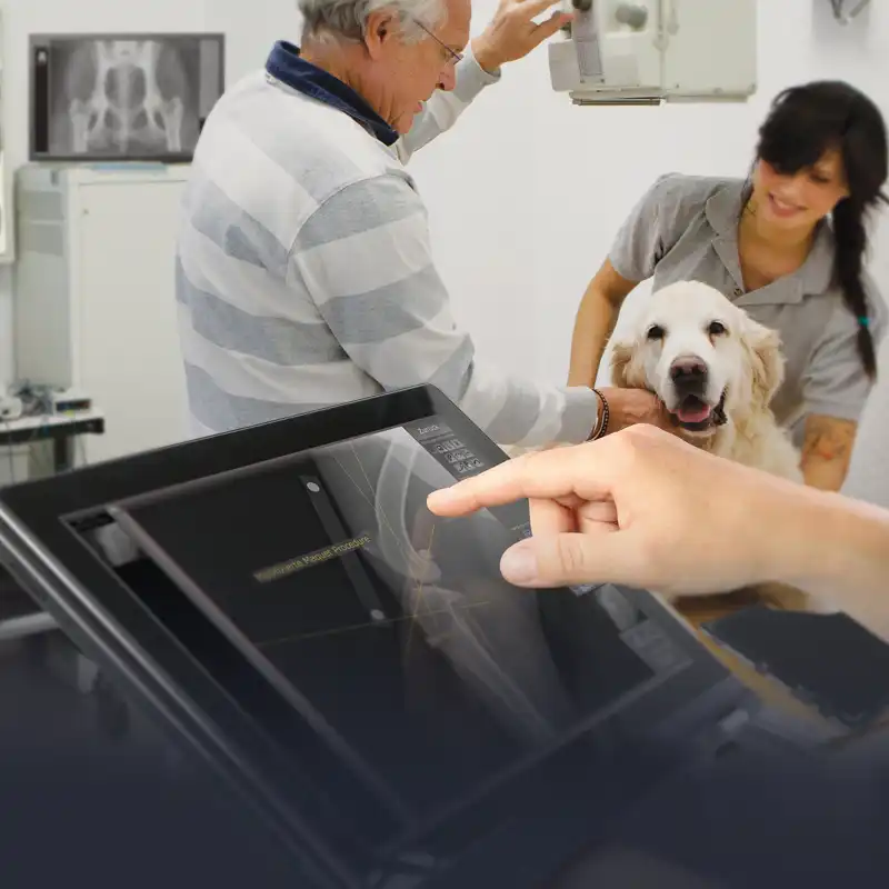 Aparato de rayos X digital para veterinarios y consultas veterinarias