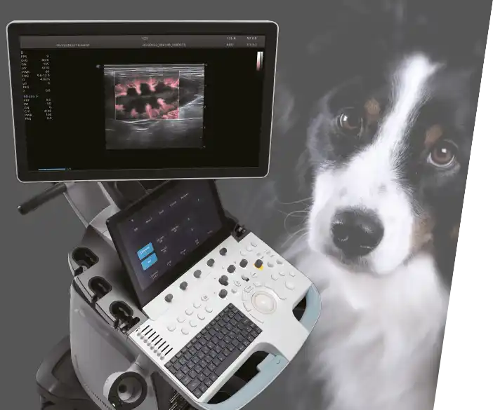 Sonogerät Professional V70 - mobiles Ultraschall-System für Tierärzte