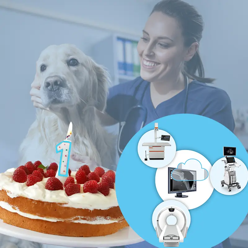 OR Ostseecollege - Neue Mediathek für Veterinäre