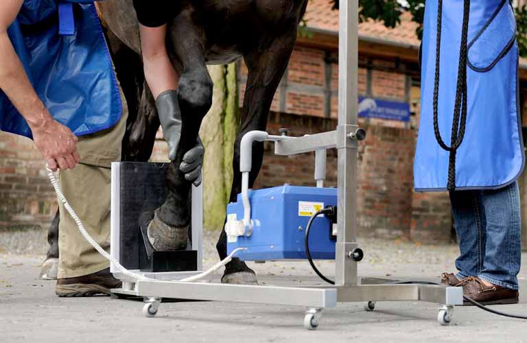 Veterinary-Medicine-Mobile-stands-wall-mounts-and-cassette-holders-4